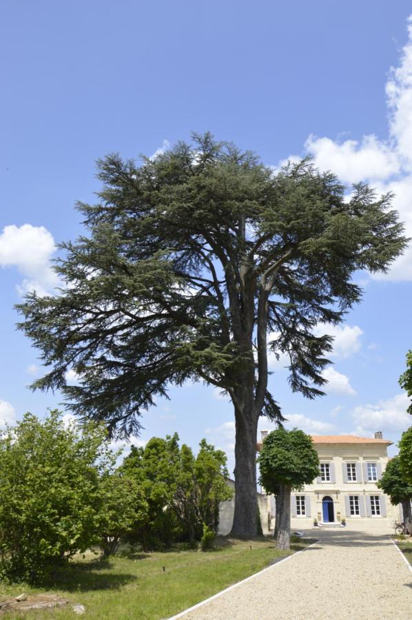 Chateau Nardon Crimon Otel Saint-Christophe-des-Bardes Dış mekan fotoğraf